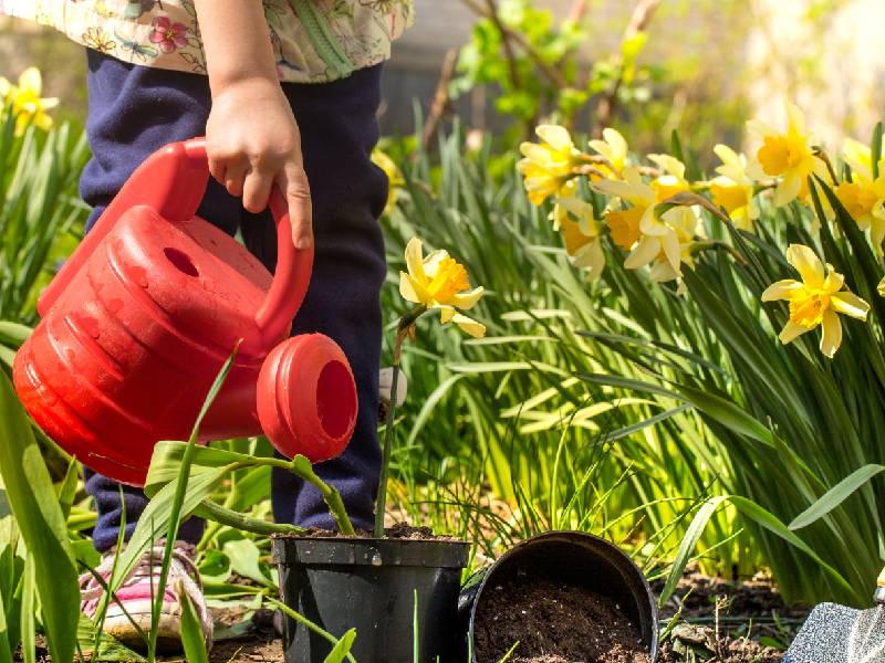 le-jardinage-comme-cle-pour-un-style-de-vie-sain-et-equilibre