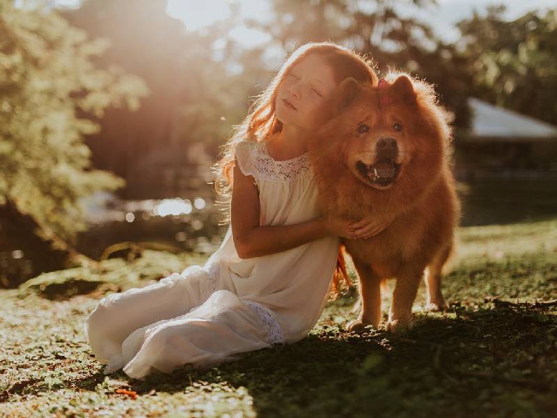 les-animaux-domestiques-et-le-developpement-des-enfants