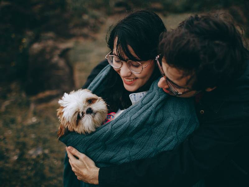 les-bienfaits-des-animaux-de-compagnie-sur-notre-sante