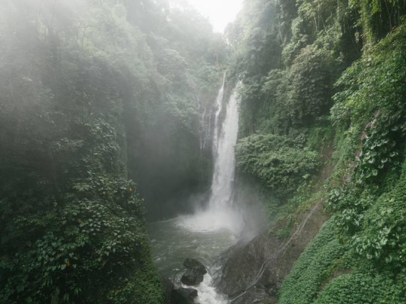 un-voyage-inoubliable-au-coeur-de-lamazonie